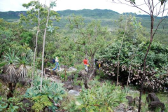 Caminhadas-e-estudos-pelo-preservado-ecossistema-de-Cerrado