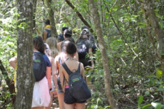 Caminhadas-aulas-de-ecologia