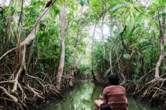 Estudos-sobre-o-manguezal-e-suas-peculiaridades-atraves-dos-furos