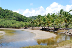 Caminhadas-e-estudos-em-estuarios