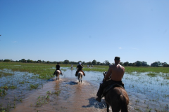Passeio-de-cavalo-observacao-de-fauna
