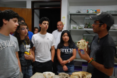 Complementacao-de-estudos-acervo-para-observacao-e-aulas-praticas