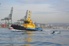 Estudos-sobre-a-logistica-de-funcionamento-do-maior-Porto-da-America-Latina