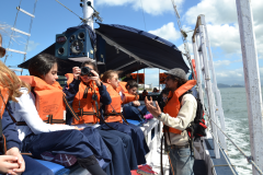 Observacao-e-estudos-realizados-em-escuna