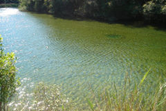 Lagoa-Dourada-Parque-Vila-Velha