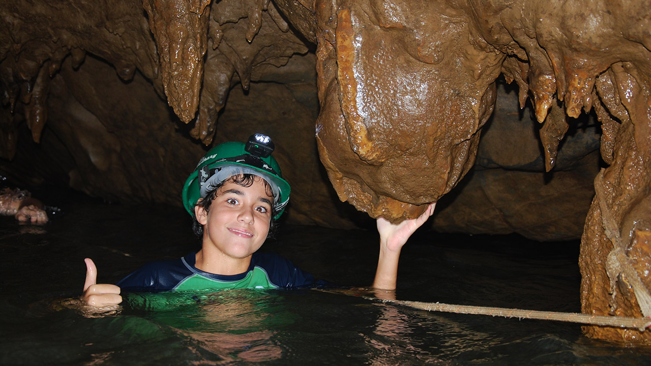 No momento, você está visualizando PETAR